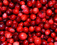 ���݂₷���t���[�c���r�l�ŕۑ��ł���