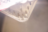 ���������邾���ŐH�ׂ���悤�ɂȂ�