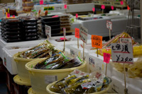 �Ђ����͒n�����Ƃ̕��y���o�Ă��Ă������낢