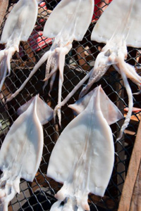 ���Ȃ����Ǝ��Ԃ𗘗p���ĊC�Y���̊�����