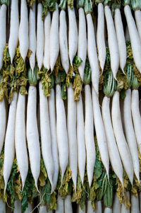 ������؂͓��Ǝ��Ԃ̑����֓��ł�����