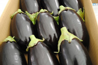 ���ł���؂͊����ƕۑ��\���Ԃ����т�