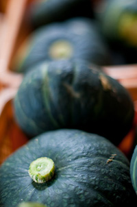 �J�{�`���̓`�b�v�X�ɂ��Ă���������