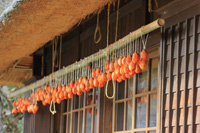 �k���͊����`���L��