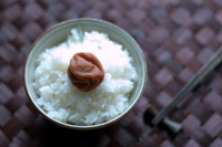 �a�̎R�͔~���ŗL���ȓy�n