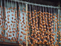 �H�i�����H����Β����ۑ����\�ɂȂ�