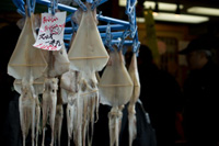 �����͐H�i���H�̑�\�I�Ȏ�@