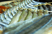 �H�i������������ƒ����ۑ����\�ɂȂ�