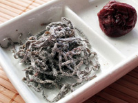 ���͐̂���ۑ��Ɏg���Ă���