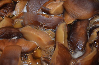 �Â�����l�Ԃ͐H�i��M���ĉ��H���Ă���