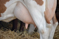 �����͂��낢��ȉ��H�H�i��